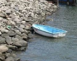 bote en el ferry