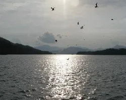 Oceano Pacifico