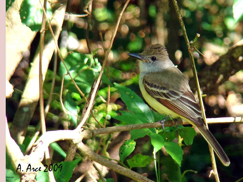 Santa Rosa National Park