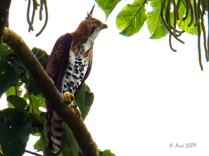 Lago Arenal, Tilaran, Guanacaste
