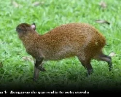 Paso 1
