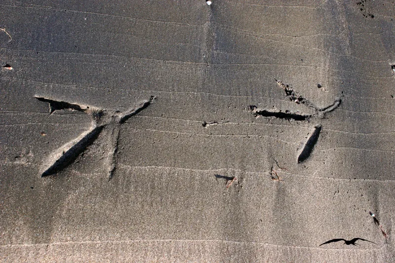 Foto
