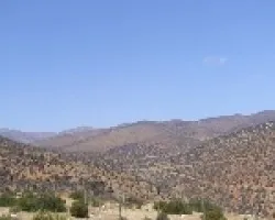 Desierto Arica