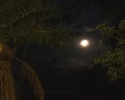 Luna