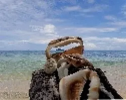 Isla P?jaros