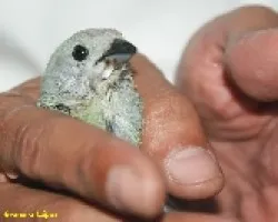 Luego de tomar agua