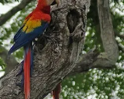 Buscando comida?