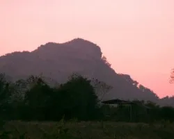 Arbol y Cielo