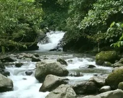 Rio de Gonzalo