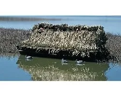 Flotar donde hay Cocos