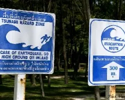 Tsubami Sign