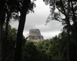 Tikal 7