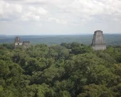 Tikal 8