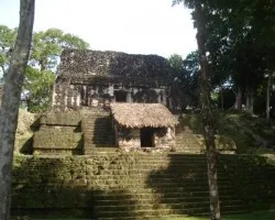 Tikal 9