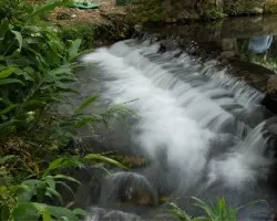 Agua