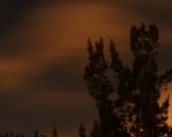 A la luz de la luna