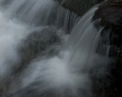 Agua 