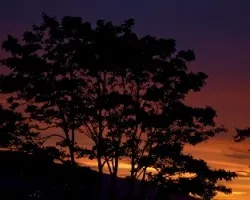 Atardecer