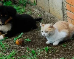 Amigos descansando