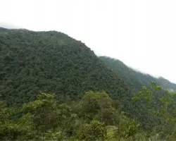 Panorama Parque Nacional Tapanti