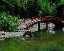 Jardin japones