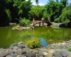 Jardin japones