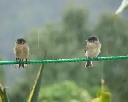 Parece que nos vamos a mojar