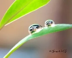 reflejo en gotas de agua