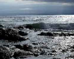 El mar