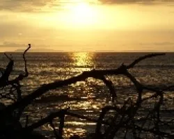 Atardecer