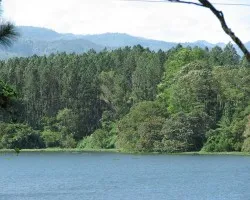 Junto a la Laguna de Cach?