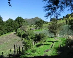 De camino a la monta?a