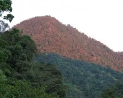 Cerro Mart?n
