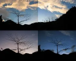 Colores al Amanecer