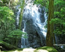 Catarata estacional Pailas