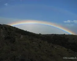 Colores en la Cima