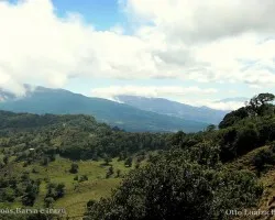 Colosos a lo lejos