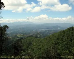 Vistazo a Naranjo
