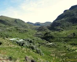 Kilómetro 14.5