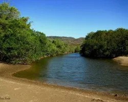 Estero Verde