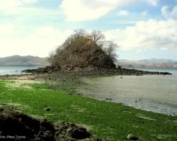 Marea Baja