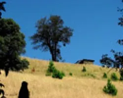 Casita en la Pradera