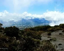 Desde las Torres