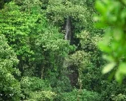 Catarata en Tausito