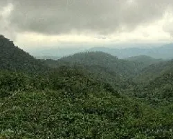 Valle del Taus