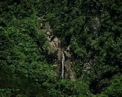 El Agua Fluye de Nuevo