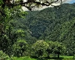 El Agua Fluye de Nuevo