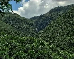 El Agua Fluye de Nuevo