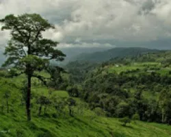 Valle del R?o Guayabo