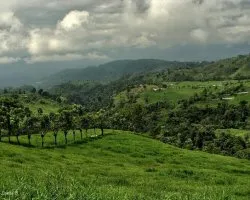 Valle del R?o Guayabo